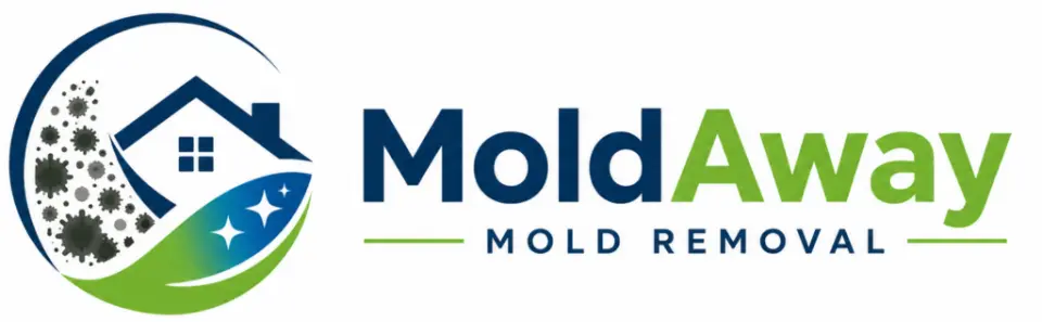 Local Mold Remediation Expertise in Berkley, Colorado — Berkley, CO