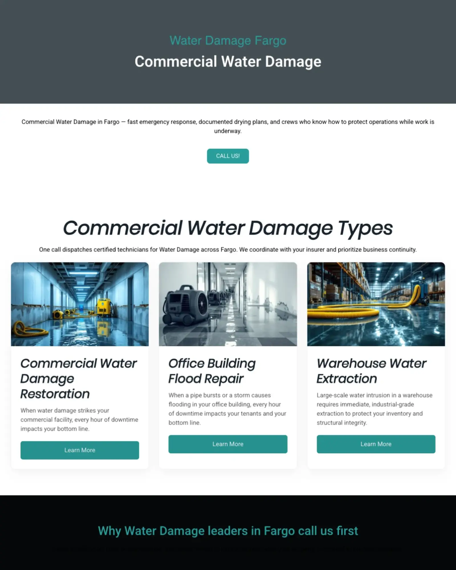 Welby — mold removal